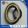 Hot Selling Roller Bearing Single Row Bearing (NU207)